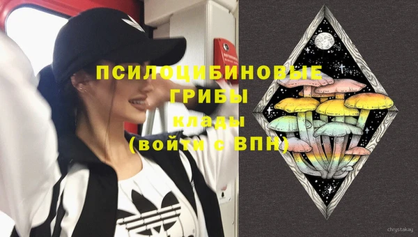 марки nbome Горняк
