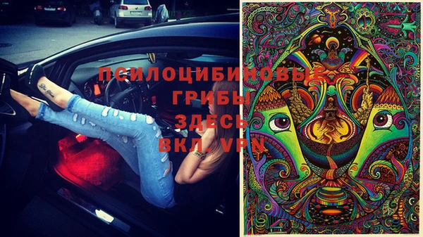 метадон Горнозаводск