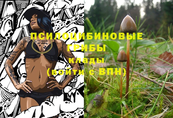 хмурый Горно-Алтайск