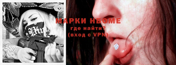 хмурый Горно-Алтайск
