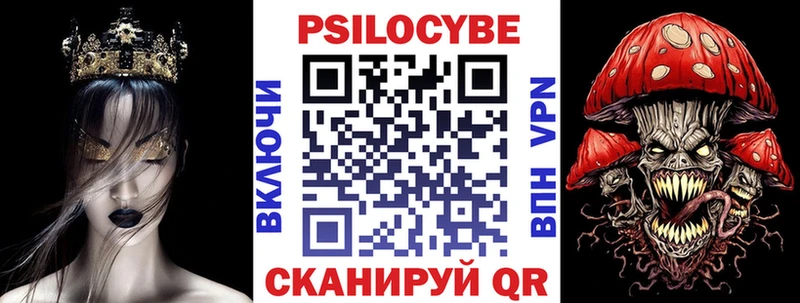 Купить где  Приморско-Ахтарск  Псилоцибиновые грибы Cubensis 